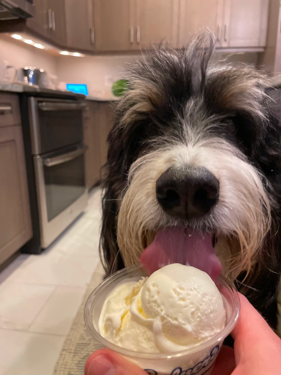 Walter gets his well-deserved ice-cream after tripling the high-score for most views on a post